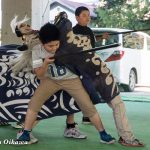 平成29年 山形県長井市「第28回ながい黒獅子まつり」前日