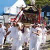 せたな町　事比羅神社　渡御祭　神輿