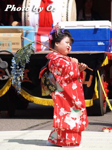 せたな町　事比羅神社　渡御際　踊り　山車