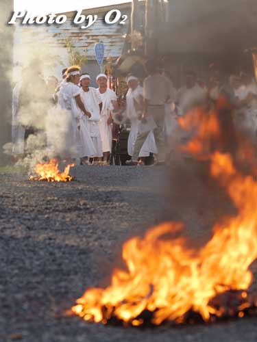 せたな町　事比羅神社　渡御祭　神輿　炎