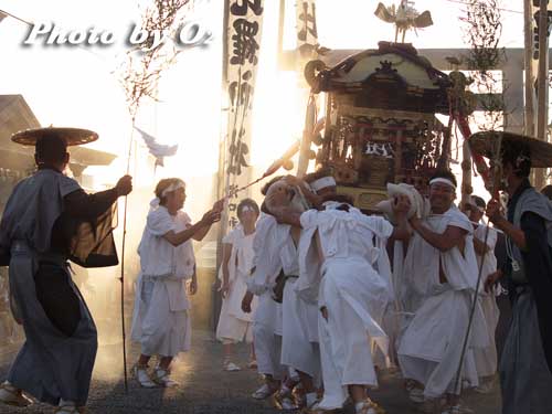 せたな町　事比羅神社　渡御祭　神輿